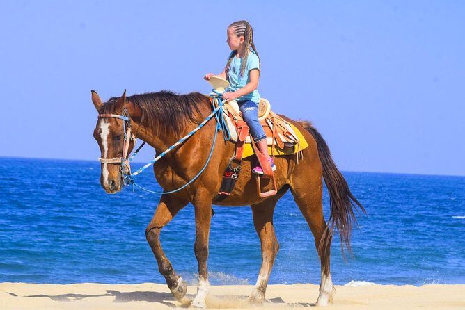 Los Cabos - COMBO Horseback Riding & ATV Tour - FAQ