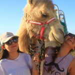 Los Cabos: Desert & Sea Camel Safari Tour with Lunch - Price & Value