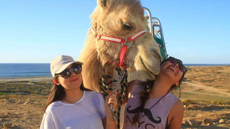 Los Cabos: Desert & Sea Camel Safari Tour with Lunch - Price & Value