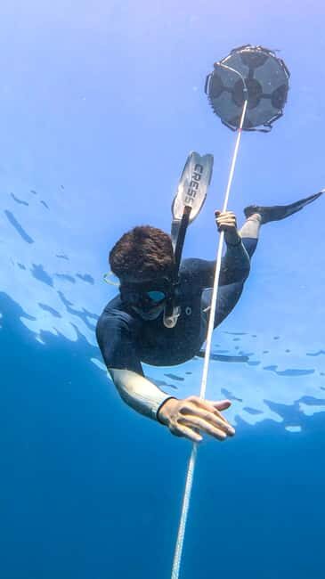 Los Cabos: freediving sessions - Who Should Consider This Tour?