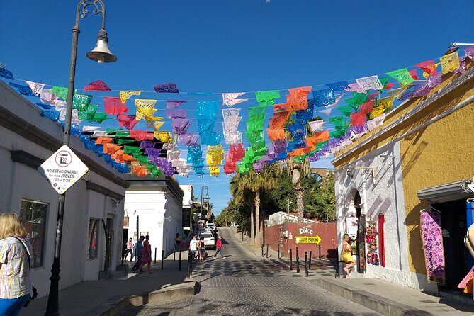 Los Cabos Half-Day Tour Discovering San Jose and San Lucas - Who Is This Tour Best For?