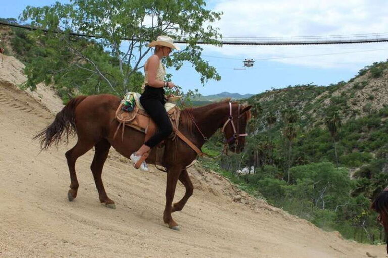 Los Cabos: Horseback Riding in Canyon a Mexican Experience - Practical Details: What You Need to Know