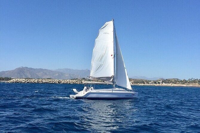 Los Cabos Platinum Snorkel Experience - Final Thoughts: Is It Worth It?