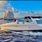 Los Cabos Private Yacht Whale Watching Tour, Snorkel and Drinks - Final Word: Why Choose This Experience?
