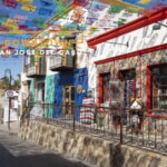 Los Cabos: San Jose del Cabo and Cabo San Lucas Tour - Who Will Love This Tour?