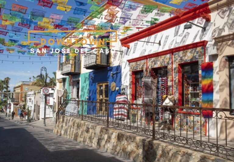 Los Cabos: San Jose del Cabo and Cabo San Lucas Tour - Who Will Love This Tour?