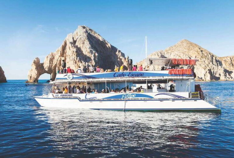 Los Cabos: Snorkeling Cruise with Lunch - An In-Depth Look at the Cabo Snorkeling Cruise Experience