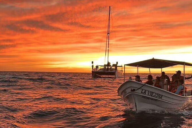 Los Cabos Sunset Boat Tour - The Sum Up