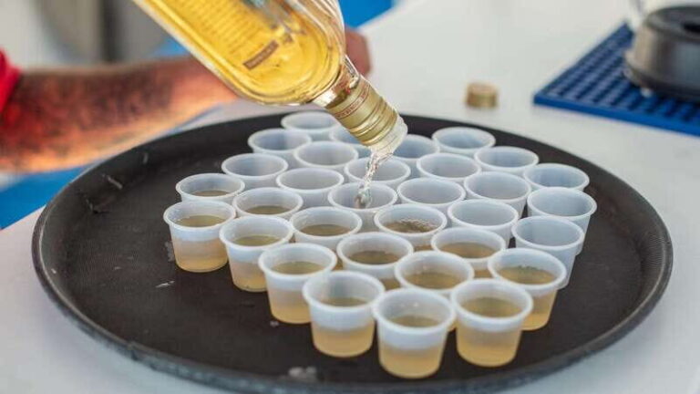 Los Cabos: Sunset Dinner Cruise with Transportation - Exploring the Experience in Detail