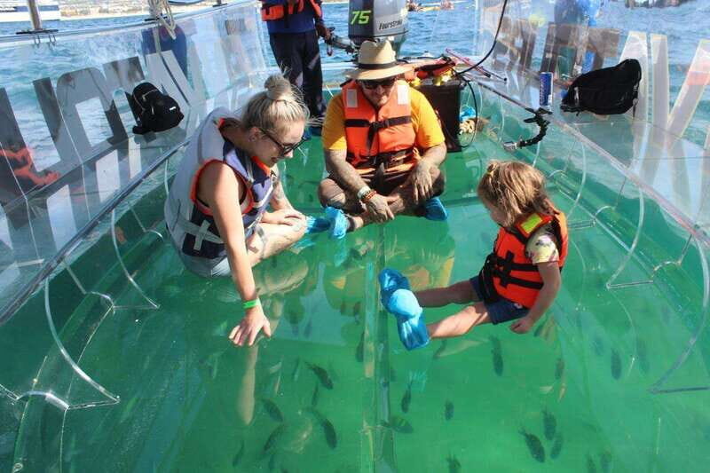 Los Cabos: Transparent Boat Tour with Optional City Tour - Why This Tour Might Be Right for You