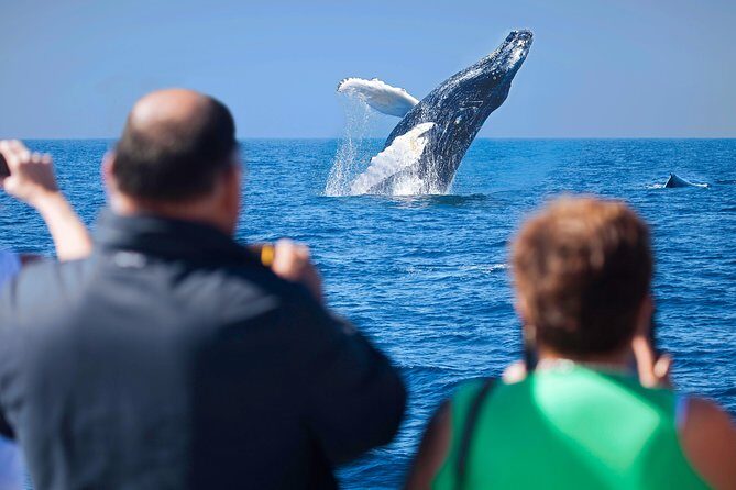 Los Cabos Whale Watching Cruise Including Breakfast - Final Thoughts