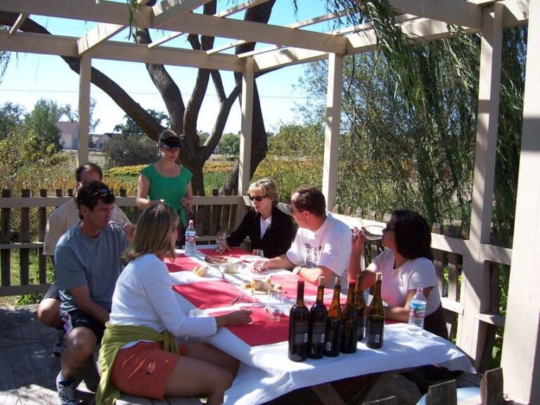 Los Olivos: E-Bike Tour + Vineyard Lunch w/Wine Tasting - A Closer Look at the Santa Ynez E-Bike & Vineyard Tour