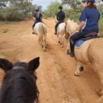 Loulé: Guided Horse Riding in the Hills of salir - Exploring Monte Da Ribeira: What to Expect on Your Horseback Adventure