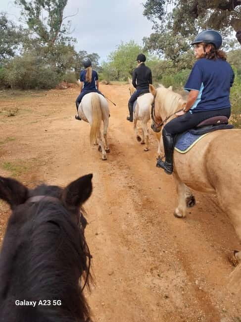 Loulé: Guided Horse Riding in the Hills of salir - Exploring Monte Da Ribeira: What to Expect on Your Horseback Adventure