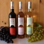 Loulé: Quinta da Tôr Winery Guided Tour and Wine Tasting - The Wine Tasting Experience