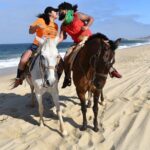 Love is in the air! Private horseback ride on the beach and sunset dinner! - A Deep Dive into the Experience
