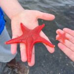 Low Tide Excursion & Totem Bight Park - Who Will Love This Tour?