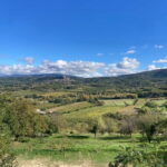 Luberon: themed bee-keeping bike rides with a local guide - Why This Tour Represents Good Value