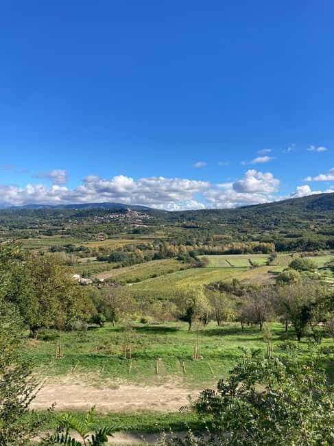 Luberon: themed bee-keeping bike rides with a local guide - Why This Tour Represents Good Value