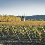 Luberon: Vineyard Tour and Wine Tasting - FAQs