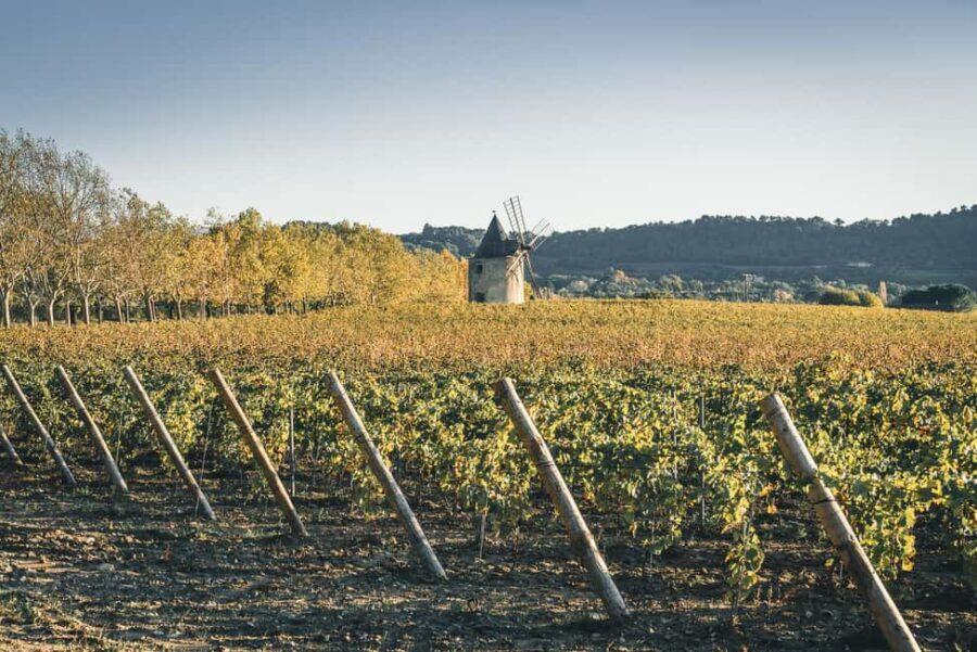 Luberon: Vineyard Tour and Wine Tasting - FAQs