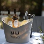 Luberon: visite de la Vigne au Verre et dégustations - A Closer Look at the Experience