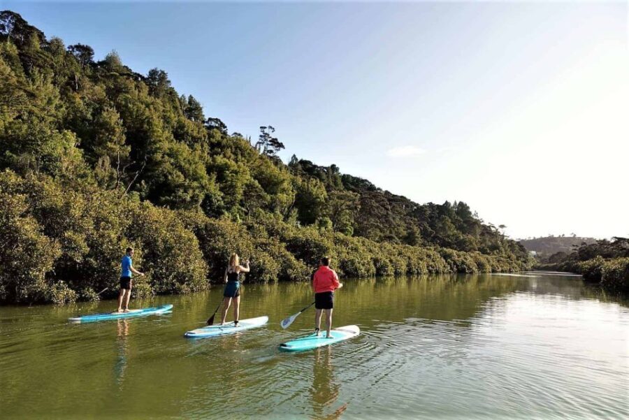 Lucas Creek Waterfall SuP Tour - The Itinerary: What to Expect