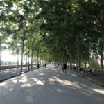 Lucca: City Bike One-Day Rental - Discovering Lucca by Bike