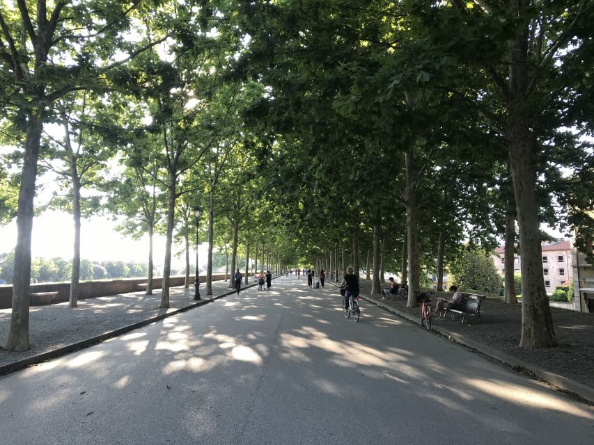 Lucca: City Bike One-Day Rental - Discovering Lucca by Bike