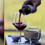 Lucca: Guided Winery Tour with Wine Tasting - A Deep Dive into the Winery Tour Experience
