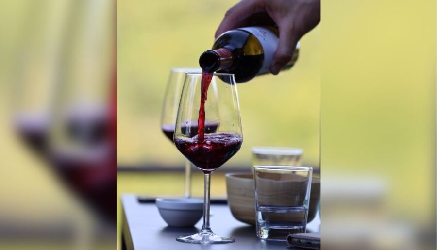 Lucca: Guided Winery Tour with Wine Tasting - A Deep Dive into the Winery Tour Experience