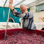 Lucca - Natural wine tasting at Tenuta Mareli - Discovering Tenuta Mareli: A Taste of Tuscanys Heart