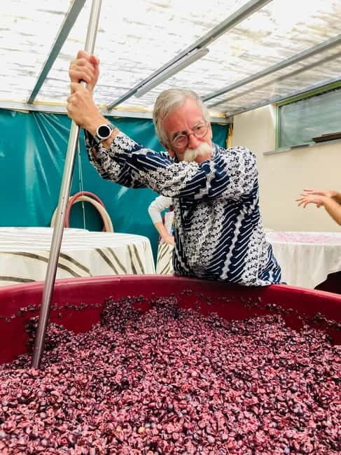 Lucca - Natural wine tasting at Tenuta Mareli - Discovering Tenuta Mareli: A Taste of Tuscanys Heart