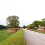 Lucca: self-guided bike tour + picnic in the vineyards - Pricing and Value