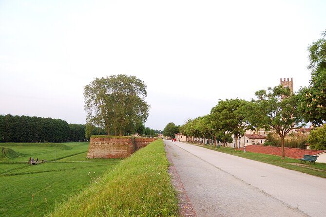 Lucca: self-guided bike tour + picnic in the vineyards - Pricing and Value