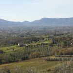 Lucca: Trekking Bike Rental - The Itinerary and What to Expect