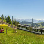 Lucerne: Boat Trip, Mount Rigi Train, & Mineral Baths Ticket - Authentic Experiences and Visitor Impressions