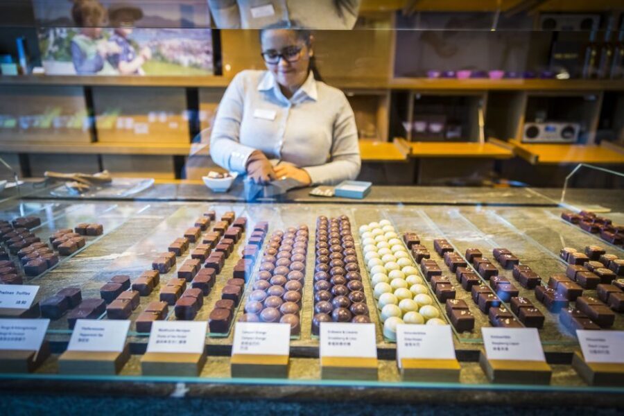 Lucerne: Chocolate Tasting with Lake Trip and City Tour - Who Will Love This Tour?