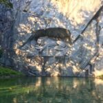 Lucerne: Glacier Express's Swiss Alps & Lucerne Tour - What’s Included and What’s Not