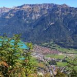 Lucerne: Interlaken & Grindelwald Exclusive Private Day Tour - What’s Included and What You Should Consider