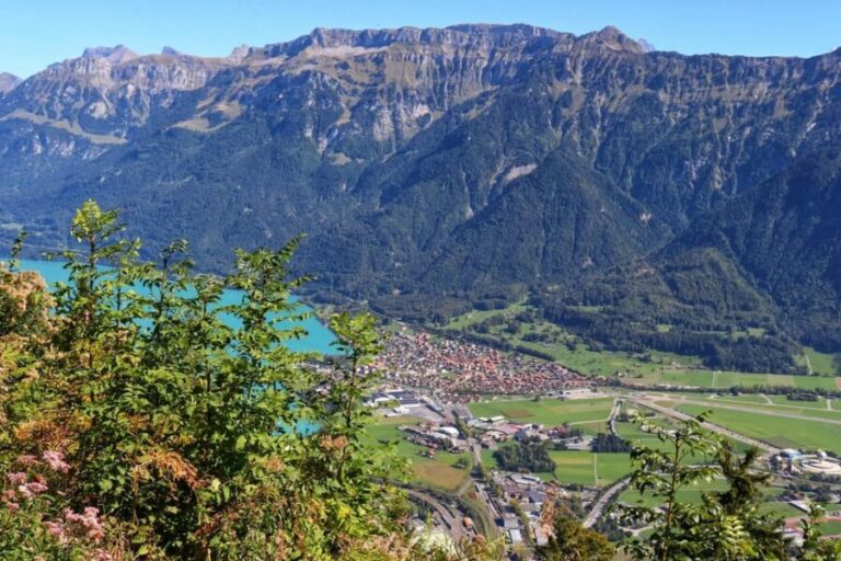 Lucerne: Interlaken & Grindelwald Exclusive Private Day Tour - What’s Included and What You Should Consider