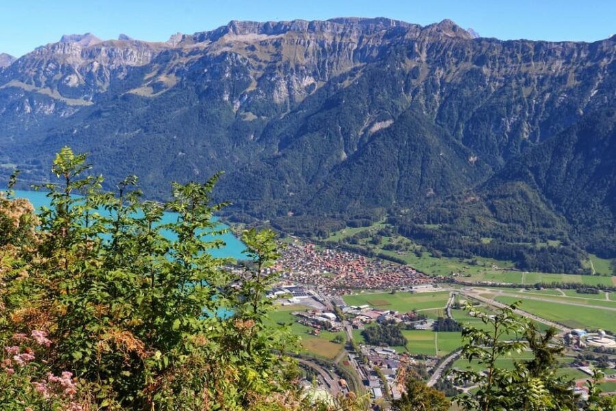 Lucerne: Interlaken & Grindelwald Exclusive Private Day Tour - What’s Included and What You Should Consider