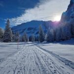 Lucerne: Private Snowshoe Tour - Who Will Love This Tour?