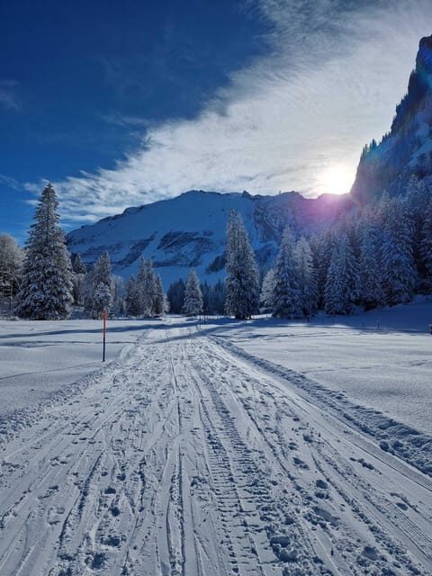 Lucerne: Private Snowshoe Tour - Who Will Love This Tour?