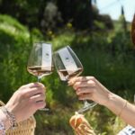 Luch Time Tasting & Winery Tour - Analyzing the Value