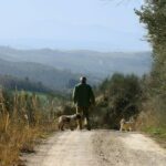 Luck and Patience: truffle hunting in Tuscany - What’s Included and What’s Not