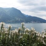 Lugano - Private Walking Tour - The Value of This Tour