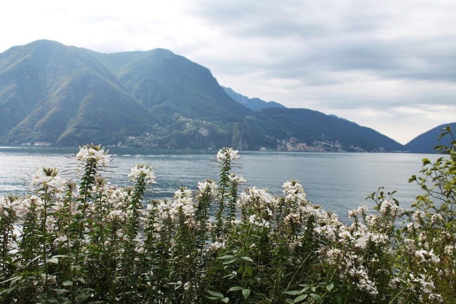 Lugano - Private Walking Tour - The Value of This Tour