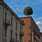 Lugano Private Walking Tour with a Professional Guide - Practical Details & Tips