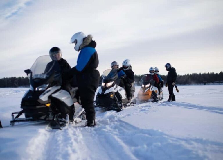 Luleå: Forest & Ice Snowmobile Tours (2 or 4 Hours) - Who Should Consider This Tour?